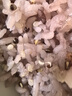 十月稻田 三色藜麦 480g  藜麦米 轻食沙拉 五谷杂粮 粗粮 高蛋白膳食纤维 实拍图