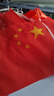 格立特（gelite）中国国庆装饰氛围布置7号小国旗串旗小红旗五星红旗户外悬挂墙彩旗子办公室学校教室公司顶挂旗帜 实拍图