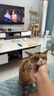 WEYES冻干鸭小胸350g桶装宠物猫狗零食大礼包发腮营养 实拍图