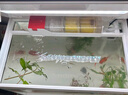 森森 超白玻璃智能鱼缸一体缸自循环家用水族箱HE-300 实拍图