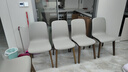 真缘北欧极简餐椅家用现代简约实木椅子靠背轻奢客厅餐桌椅吃饭凳子 深胡桃色灰色皮-样板色 实拍图