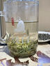 寻西湖茶叶特级碧螺春绿茶2025新茶明前头采浓香型嫩芽送礼茶叶礼盒500g 实拍图