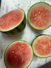 现摘现发2k西瓜当季手剥薄皮小糖丸西瓜新鲜水果冰糖子小西瓜 4-5斤（1-2个） 实拍图