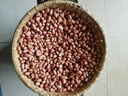 守山翁生花生米 农家白沙花生米 当季大粒白花生仁 250g-2500g 1000g精选装花生米 实拍图