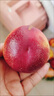 京鲜生 国产油桃 鲜桃子 净重1斤尝鲜装 单果60g以上 生鲜水果 实拍图