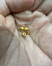 御邪黄金转运珠足金999路路通光面金珠手串串珠手链中秋节礼物 3毫米特供金珠 实拍图