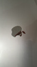 极川 苹果MacBook Air 13.6英寸M4/M3/M2键盘膜2025/24/22款笔记本电脑键盘保护膜TPU超薄透明防水尘罩 实拍图