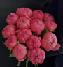 喜宝（HiPP）德国珍宝版益生菌 高钙儿童学龄前奶粉1+段（1-6岁）600g*4盒/箱 实拍图