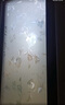 金隆兴玻璃防窥膜窗户贴膜卫生间隐私纸浴室厕所透光不透明牡丹花0.6*2m 实拍图