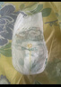 帮宝适（Pampers）清新帮拉拉裤M中码50片 超薄干爽泡泡尿不湿透气 实拍图