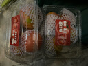 童年味道西红柿约1kg 实拍图