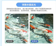智国者手机CPL偏振镜偏光镜夹片镜头高清画质滤镜过滤拍照单反相机高清镀膜适用苹果华为iPhone16/15小米 实拍图