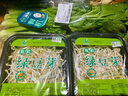 【有机】芹菜（西芹）400g 实拍图