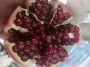 南步四川攀枝花黑籽酸石榴【现摘】纯酸石榴突尼斯软籽酸甜可泡酒水果 8斤 中大果【单果约300克】 实拍图