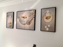 诗六艺家饰客厅装饰画北欧现代简约沙发背景墙挂画三联画大气轻奢壁画晶瓷画 羽鹿生辉（铝合金外框） 晶瓷画左右40*60+中间80*60亮面 实拍图