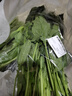 番茄约500g 实拍图