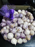 玉燕妃云南正宗新鲜紫皮独头大蒜独蒜干蒜 农家露天自种助农生鲜蔬菜 1.8-2.5cm紫皮独蒜干蒜2斤 实拍图