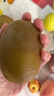 佳沛（zespri）新西兰阳光金奇异果原箱 16粒巨无霸 单果重约202-230g   猕猴桃 实拍图