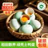 鄱湖鸭舍【正宗有机新鲜鸭蛋】鄱阳湖麻鸭蛋农村散养土鸭蛋生鸭蛋无抗 有机土鸭蛋60-70g*10枚【推荐】 实拍图