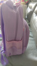 艾欣儿 幼儿园书包女小班中大班时尚卡通动漫三3-6岁儿童小学生男女孩超轻减负护脊小背包 紫色小马图案 实拍图