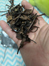 亿公子2013年福鼎老寿眉白茶  高山日晒十年老白茶 陈香茶叶收藏实惠装 【12年陈】250克*1袋福鼎寿眉 福鼎寿眉老白茶2013年 实拍图