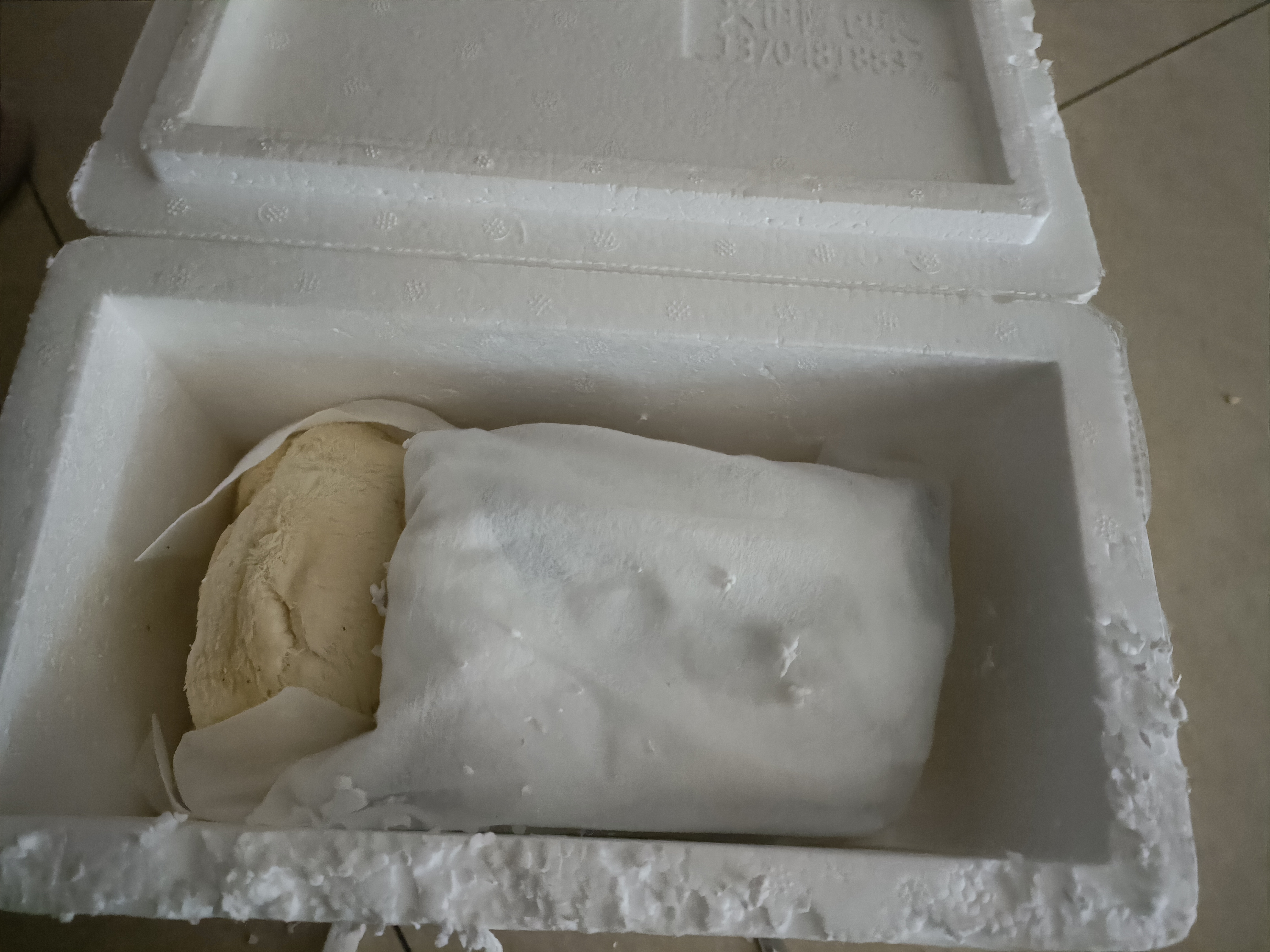 悦來頤和（YUELAIYIHE）新鲜猴头菇有机菌菇东北食用菌当天采摘顺丰直达蘑菇500g 500克 实拍图