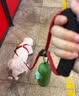 阿莫尔狗狗牵引绳小型犬遛狗绳猫绳子牵狗背带式牵引绳泰迪小狗宠物用品 红色绳【带胸背】 XS (建议2-5斤内) 实拍图