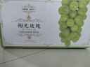 辣青春【顺丰多地次日达】云南阳光玫瑰青提葡萄晴王当季新鲜水果礼盒装 特级果2斤【礼盒装】单颗10-12g 颗颗甄选 实拍图