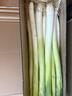 田良季正宗山东章丘大葱【顺丰速运】高白脆甜新鲜水果蔬菜葱特产送礼品 净重5斤| 净葱0.8米丨很划算 顺丰礼盒装【脆甜丨去皮去半叶】 实拍图