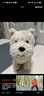 babycare&bct儿童毛绒玩具狗电子哈基米宠物玩偶节日生日七夕礼物西高地犬 实拍图