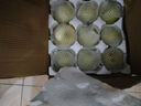 安徽正宗砀山梨青梨酥脆一号青皮蜜梨脆甜多汁无渣沐驰 5斤精选大果（净果4.5斤以上） 实拍图
