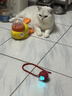 HELLOJOY猫咪玩具自嗨解闷神器智能电动逗猫球自动逗猫棒幼猫遛猫消耗体力 实拍图