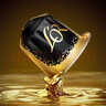 L'OR 胶囊咖啡 兼容胶囊咖啡机小米NESPRESSO咖啡胶囊1盒10粒装26.8 苏帕摩/10粒装-浓度10 实拍图