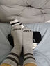 特步秋冬季儿童袜【7A抗菌】纯棉运动防臭中筒袜吸汗透气中大童校园袜 黑白灰【抗菌防臭】3双 M【33-37码】 实拍图