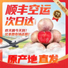 四叔公果蔬新疆味帝恐龙蛋李子【顺丰闪送多地次日达】中秋节礼品水果礼盒装 【爆甜】甄选老树果王｜单果70-80g 3斤装（实惠尝鲜）较划算 净2 实拍图