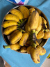 新鲜现摘香蕉小米蕉青皮发货放熟吃新鲜水果 小米蕉 5斤 实拍图