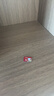 banq&JOY联名款 64GB TF（MicroSD）存储卡U3 C10 A1 V30 4K 高速款行车记录仪&监控摄像头手机内存卡 实拍图