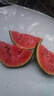 现摘现发2k西瓜当季手剥薄皮小糖丸西瓜新鲜水果冰糖子小西瓜 1.5-2斤（1-2个） 实拍图