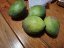 京榴香国产新鲜芒果 新鲜水果生鲜 整箱约1.2-1.0斤/净含量450g 实拍图