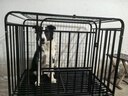 北鼻狗【升级全管加强 】狗笼中型犬大型犬狗笼子宠物狗狗笼子金毛用品 升级四面全管底部加强 黑色 94*64*85CM 建议70斤内 实拍图