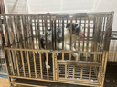 爪墅可折叠不锈钢狗笼子小型中型大型犬带厕所狗笼金毛边牧宠物笼子 【折叠款】长110*宽72*高95【萨摩耶-五黑犬】 实拍图