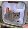 聚宠宠物猫咪烘干箱自动狗狗吹风机烘干家用洗澡拉毛吹毛机71升 智能生活APP版（AI管家7年保修） 实拍图
