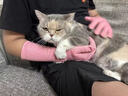 防猫抓手套宠物防咬加长耐撕咬抓狗狗鹦鹉小宠专用劳保工业手套猫猫爪子 【40cm加长】【1双】防猫抓咬手套【女款小一码】 实拍图