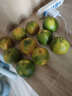 兀果语2025年云南密桔酸桔子当季薄皮橘子孕妇新鲜水果爆汁无核青 4斤 实拍图