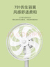 奥克斯(AUX)电风扇/落地扇/交流定频家用7叶循环空气/节能柔风台式立式两用/桌面风扇/FS1613-1(7叶) 实拍图