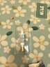 拜灭士热门商品拜耳蟑螂药杀蟑胶饵一窝室内全窝端虫卵双杀宠物友好5g 实拍图