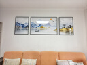 诗六艺家饰客厅装饰画北欧现代简约沙发背景墙挂画三联画大气轻奢壁画晶瓷画 背靠金山（铝合金外框） 晶瓷画左右60*80+中间120*80亮面 实拍图