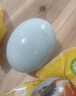 鄱湖鸭舍咸鸭蛋红心流油蛋黄熟盐蛋鄱阳湖特产非高邮海鸭蛋中秋节礼盒送礼 6枚咸鸭蛋*60-70克【尝鲜】 实拍图
