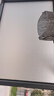 墨斗鱼磨砂玻璃隐私贴膜窗户防窥膜卫生间厕所贴纸透光不透人 0.9*2米 实拍图