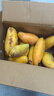 【花皮介意慎拍】新鲜四季芒果当季特产水果半熟果发货 台芒9斤单果100克以上 实拍图